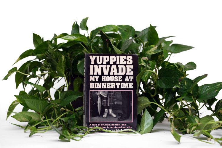 A book titled "yuppies invade my house at dinnertime" in front of a bunch of leaves on a white backdrop.